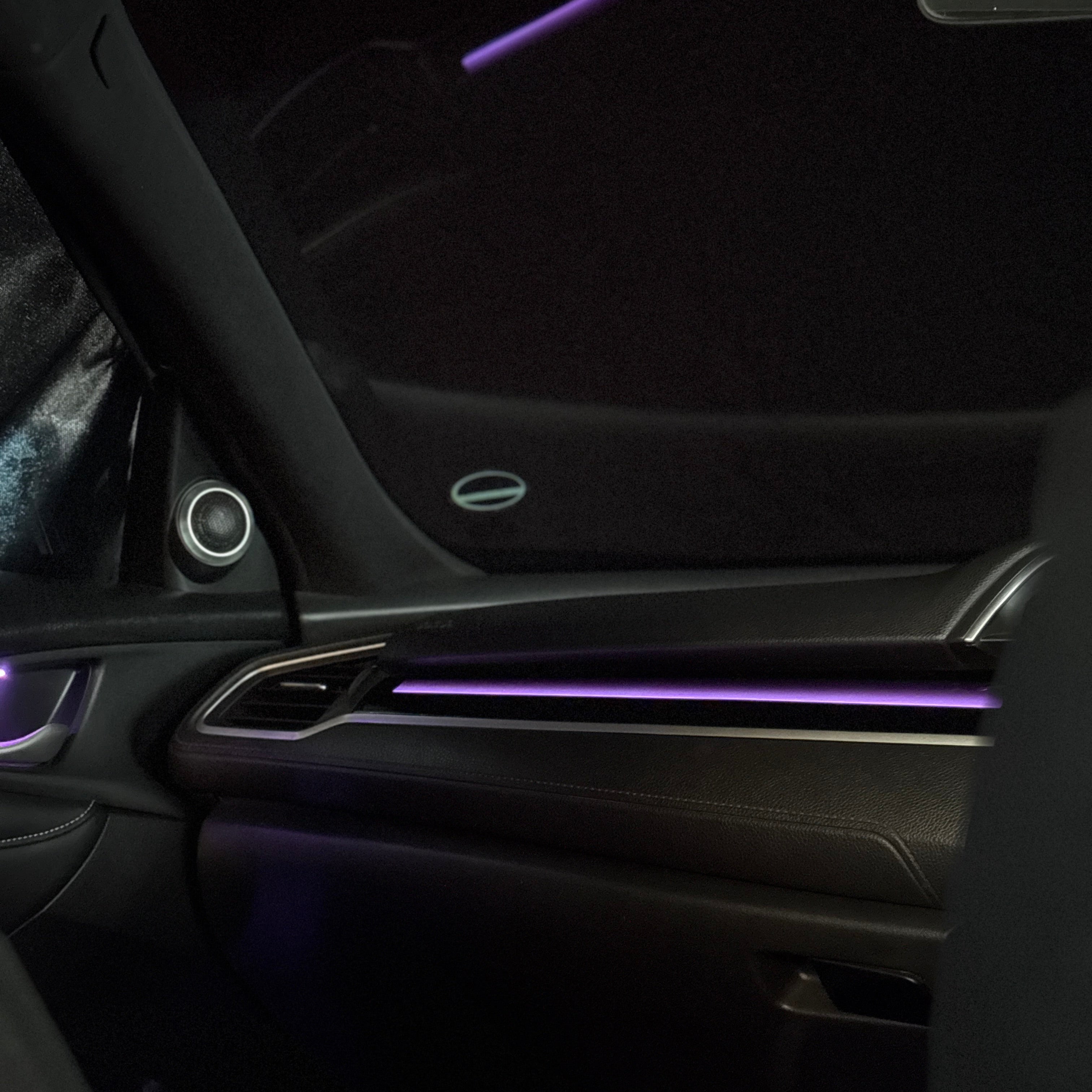 Civic X Ambient Trims