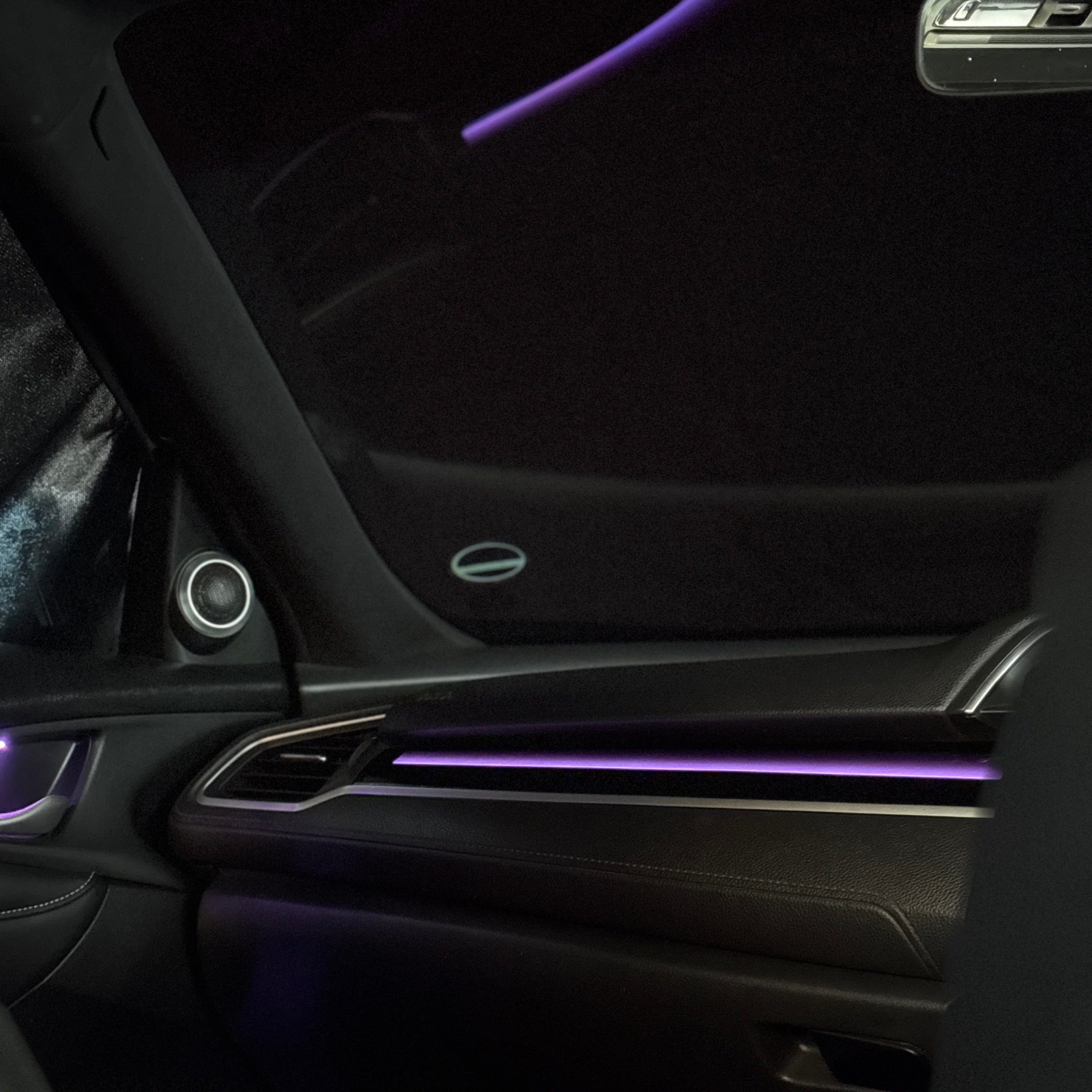 Civic X Ambient Trims